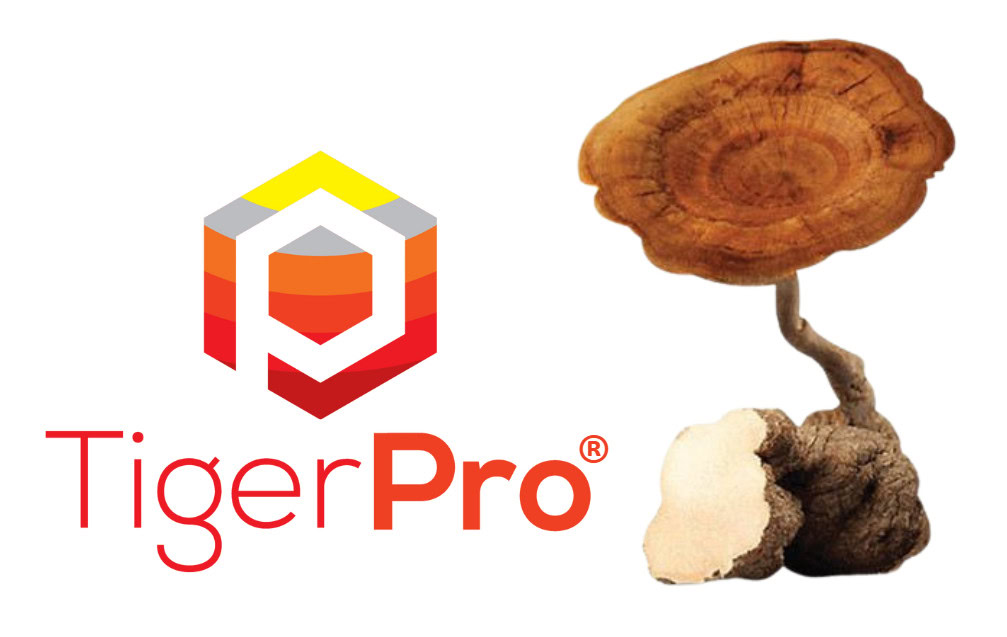 Nexus-Wise-Chillshieled-with-TigerPro Nexus-Wise-Chillshieled-with-TigerPro